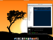 Gnome Elementary OS